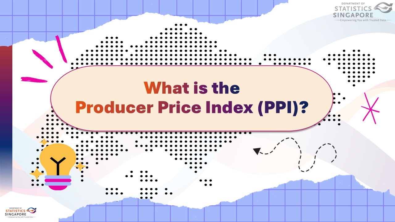 What is the Producer Price Index (PPI)?