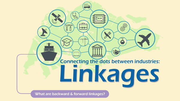 Connecting the Dots Between Industries: Linkages