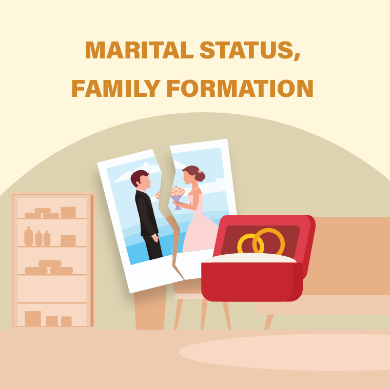Marital Status, Family Formation and Dissolution Dashboard
