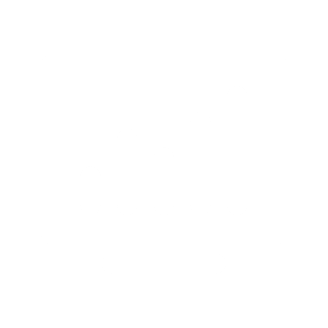 visualising data