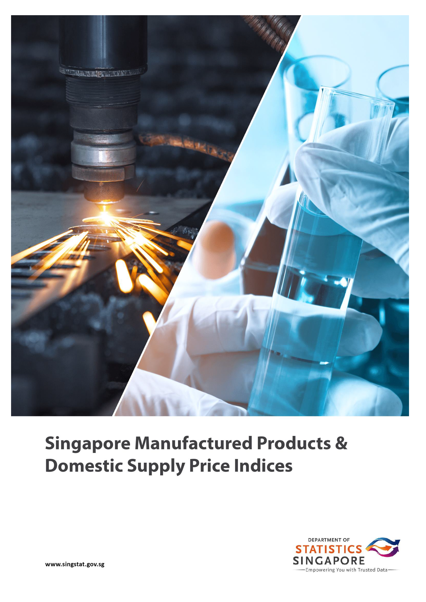 Report Cover for Manufactured Products and Domestic Supply Prices Indices